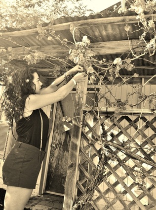 Tatiana picking grapes